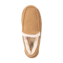 Mens UGG® Ascot Slipper - Chestnut
