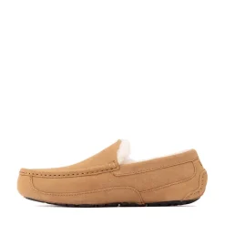 Mens UGG® Ascot Slipper - Chestnut